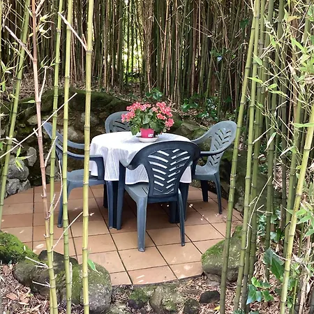 Precioso Estudio En Primera Linea Frente A Islas Cies * Vigo