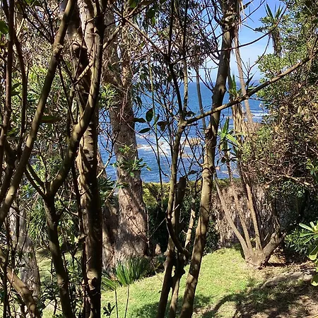 Lägenhet Precioso Estudio En Primera Linea Frente A Islas Cies Vigo